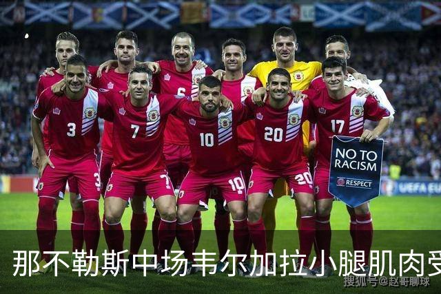 那不勒斯中场韦尔加拉小腿肌肉受伤，将缺席至少15天